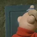 member face