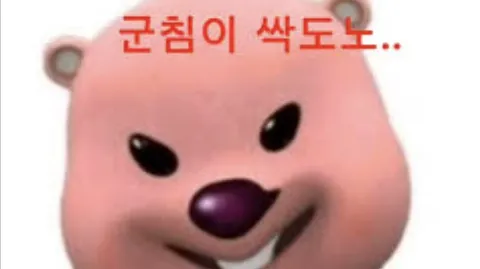 정모 대표 이미지