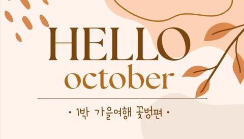 정모 대표 이미지