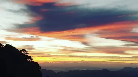 정모 대표 이미지