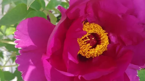 정모 대표 이미지