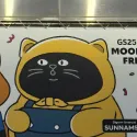 member face