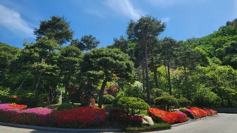 정모 대표 이미지
