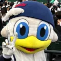 member face