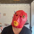 member face