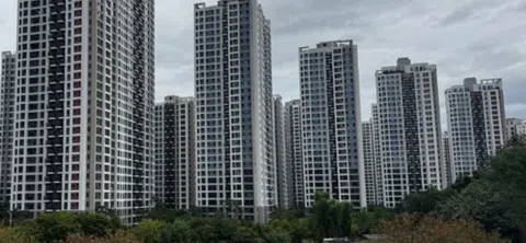 모임 대표 이미지