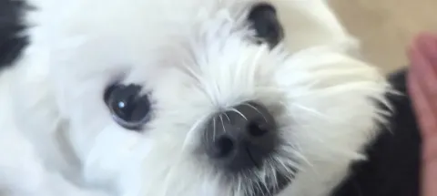 모임 대표 이미지