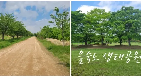 정모 대표 이미지