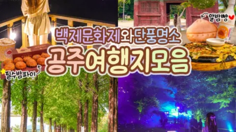 정모 대표 이미지