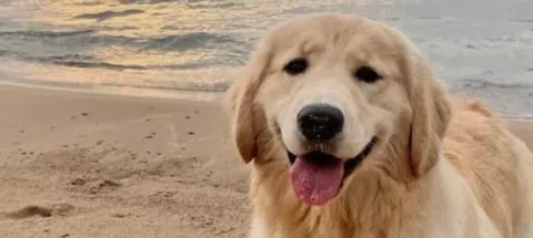 모임 대표 이미지