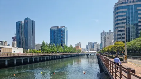 정모 대표 이미지