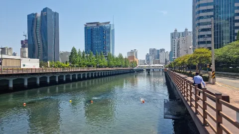 정모 대표 이미지