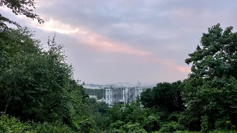 정모 대표 이미지