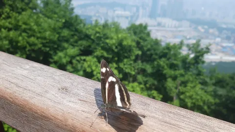 정모 대표 이미지