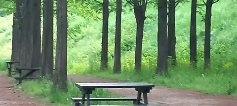 모임 대표 이미지