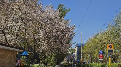 정모 대표 이미지