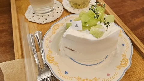 정모 대표 이미지