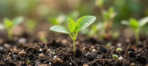 모임 대표 이미지