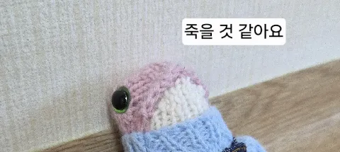 모임 대표 이미지