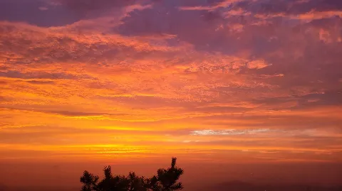 정모 대표 이미지