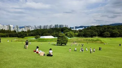 정모 대표 이미지