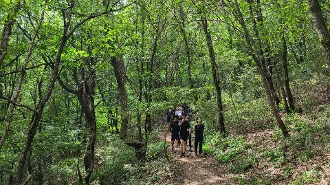 정모 대표 이미지