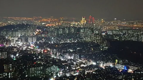 정모 대표 이미지