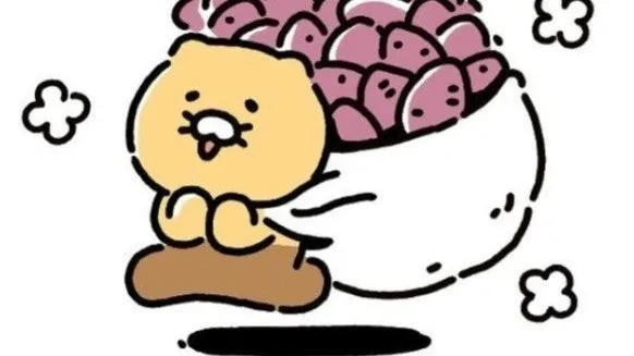 정모 대표 이미지