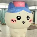 member face