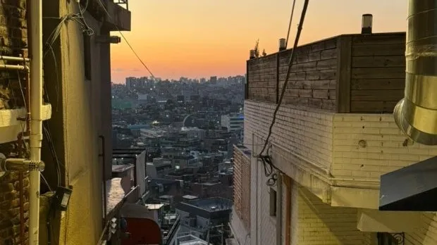 정모 대표 이미지