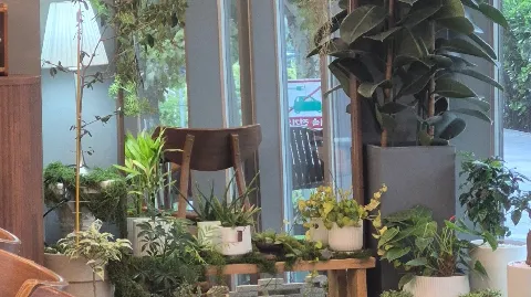 정모 대표 이미지