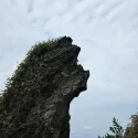 member face
