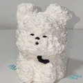 member face