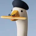 member face