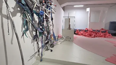 정모 대표 이미지