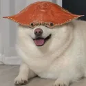 member face