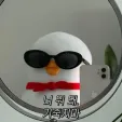 member face
