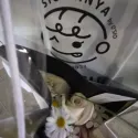 member face
