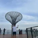 member face
