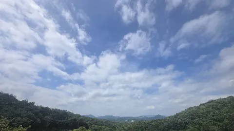 정모 대표 이미지