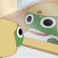 member face