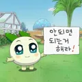 member face