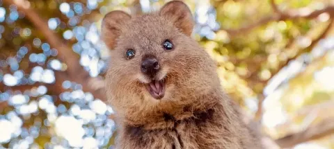 모임 대표 이미지