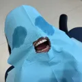 member face