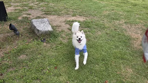 정모 대표 이미지