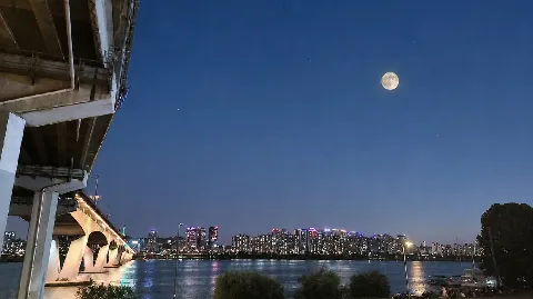 정모 대표 이미지