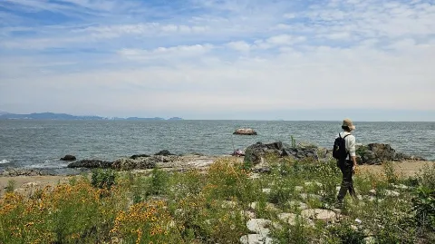 정모 대표 이미지