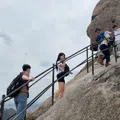 member face