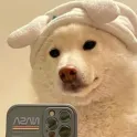 member face