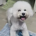member face